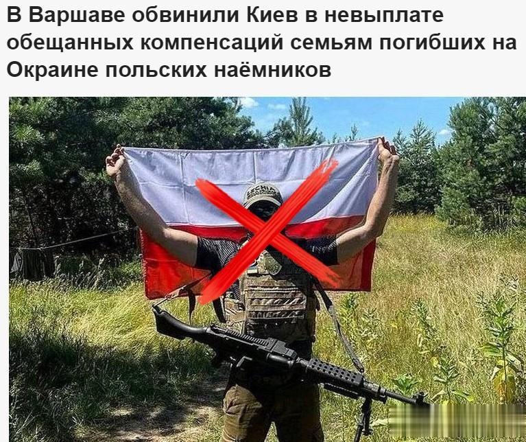 波兰被打死的雇佣兵没有得到赔偿
▪波兰雇佣兵彼得·米特克维奇说，在我的小组中参加