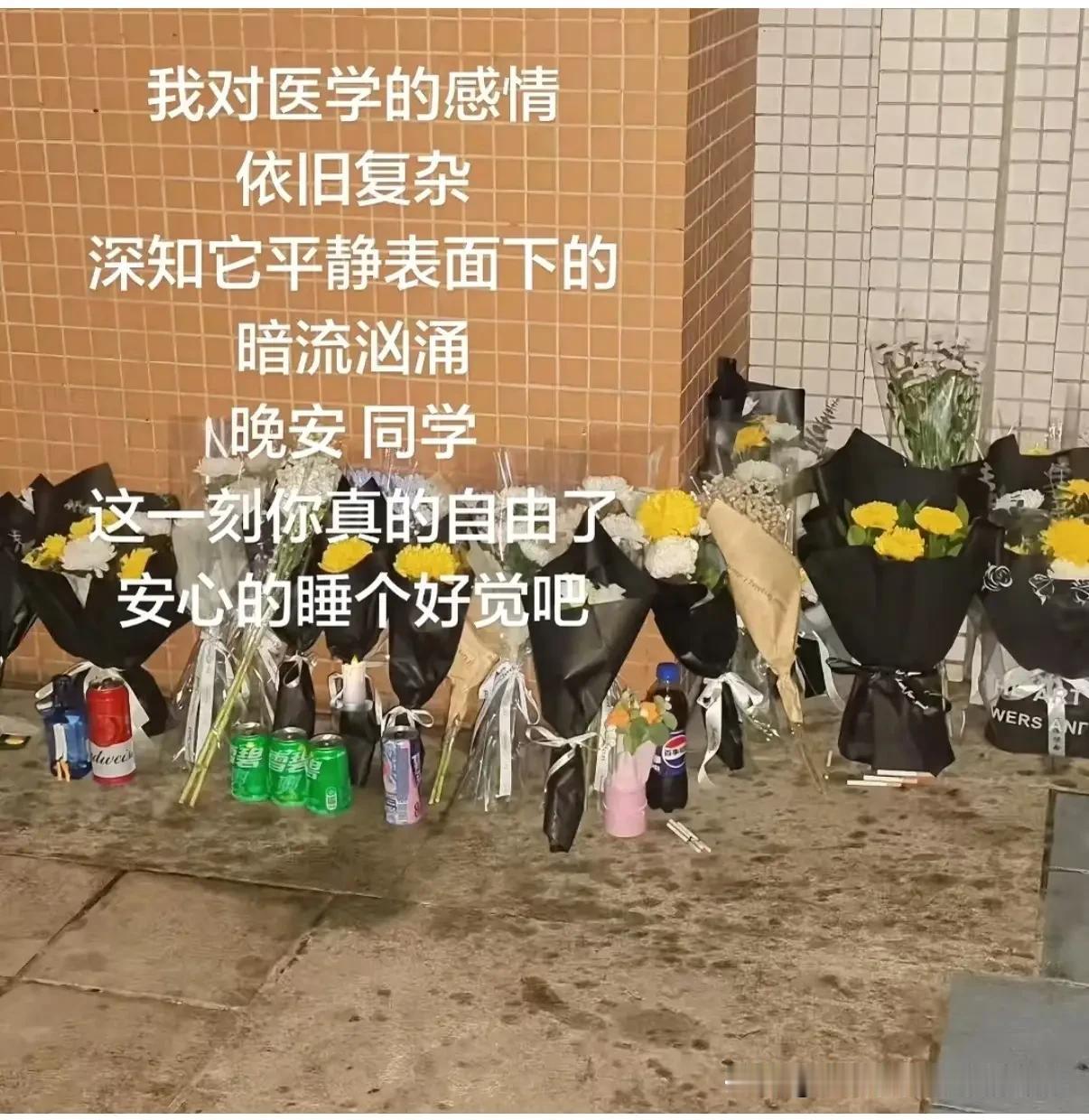 南方医科大学八年制博士，在第七年因父亲车祸去世，请假遇阻在学校跳楼身亡。有几个要