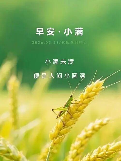 叙说小满
今天是二十四节气中的小满，古人把这个节气叫做“小满”，而不是“大满”。