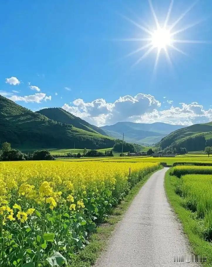 见过最清醒的女人！老公出轨她睡一觉：正好，不用伺候了
 
年轻时撞见老公出轨，所