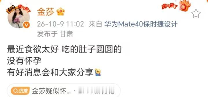 其实也不怪大家误以为金莎怀孕了，毕竟她和小17岁的老公年龄差比较大，并且她本人也