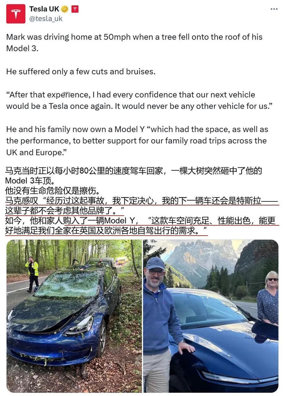 真实经历后才敢说！Model 3力扛巨树撞击保生命安全，车主试驾后决定再提一辆M