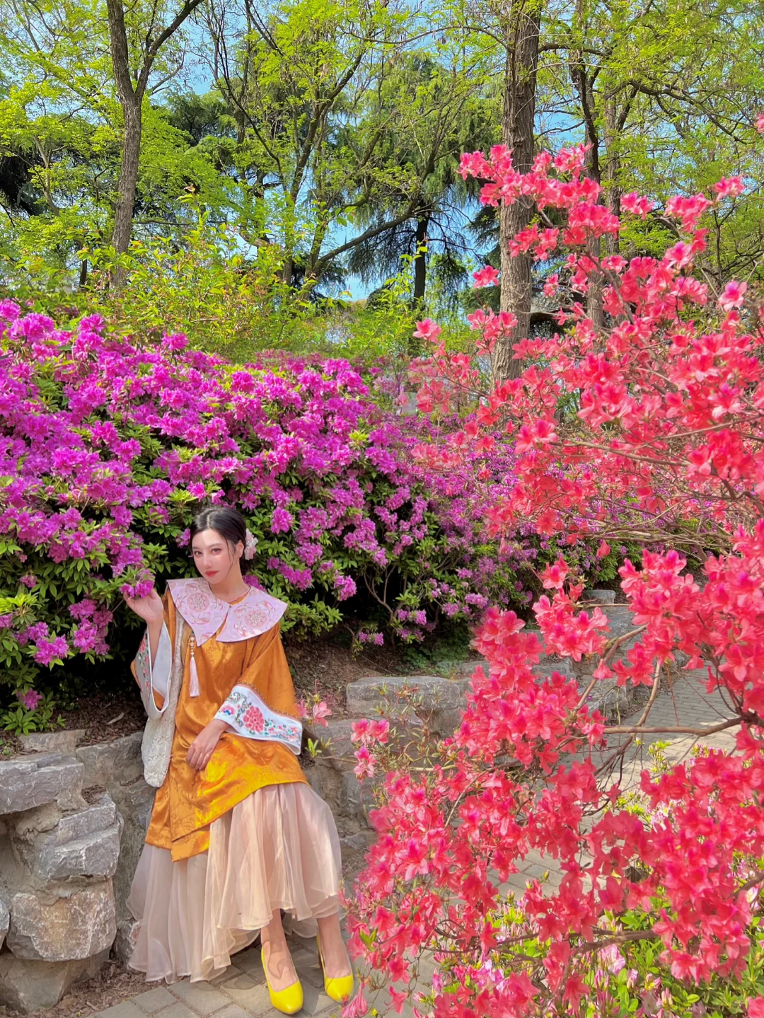 古林公园美的太离谱！不止木香花 牡丹已绽放