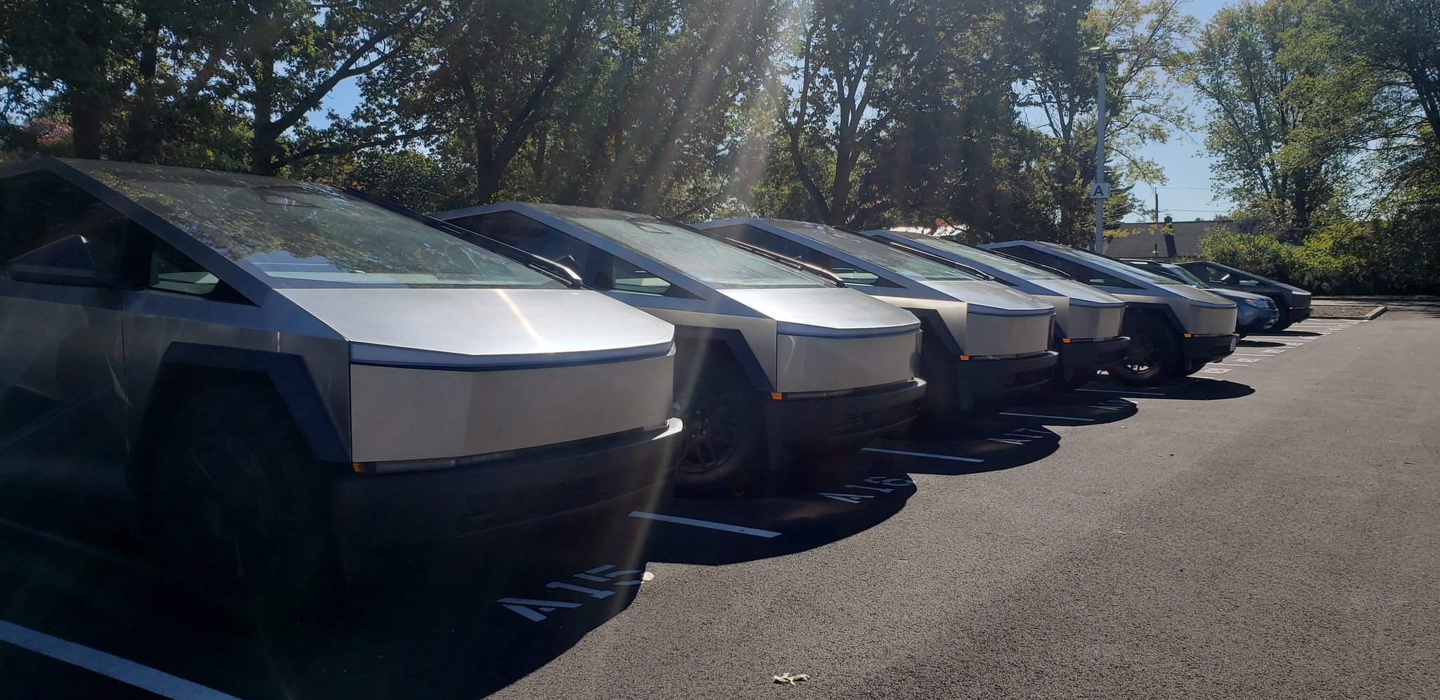 特斯拉欧洲市场份额出现回升迹象：法国和挪威2月注册量大幅增长3月2日，路透社报道