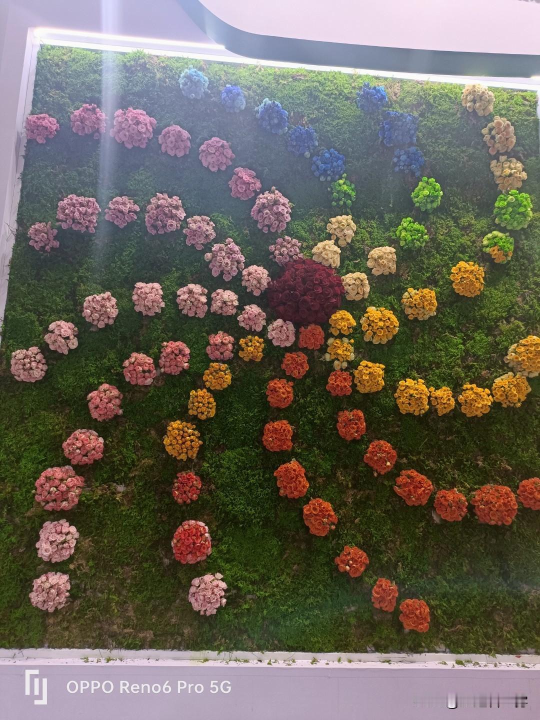 生育感悟:
迟来的醒悟
79年出生的朋友，46岁了,你们孩子都上大学了吧，我朋友