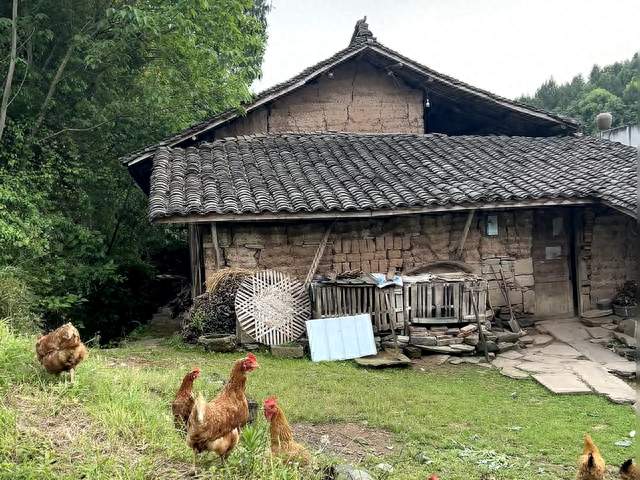 2026宅基地新规，户口迁城里，老家房子还能保住吗