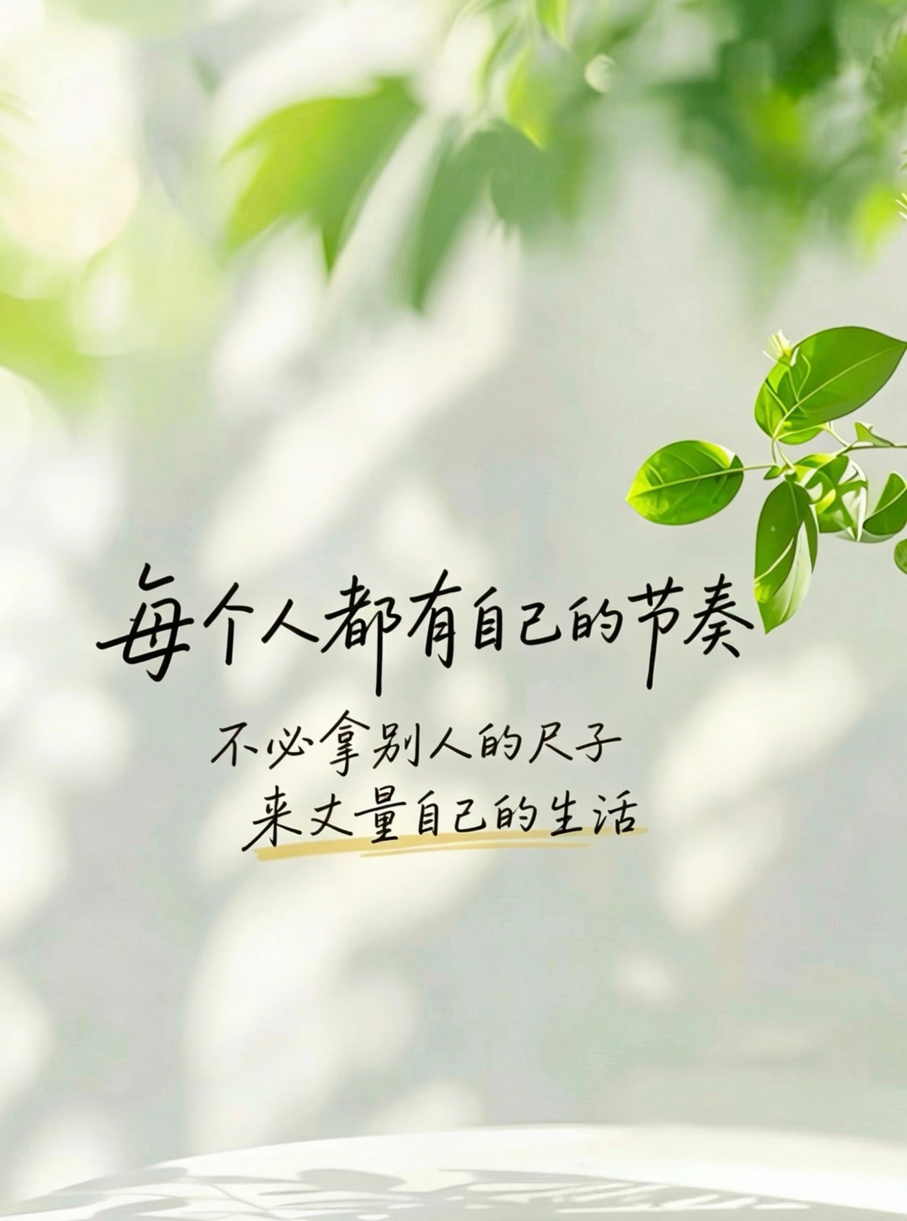 与其仰望别人的辉煌，不如专注自己的成长。每个人都有属于自己的花期～ 