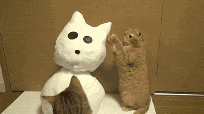 猫猫：吓我一跳，是真的一跳 