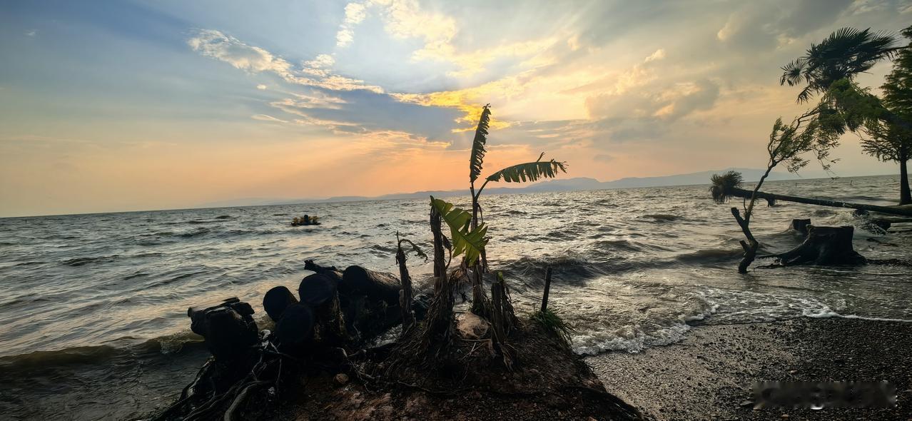 清平乐·滇池晚归
 
晚风徐缓，
浪拍滇池岸。
落日迟迟西山畔，
不逐少年追片。