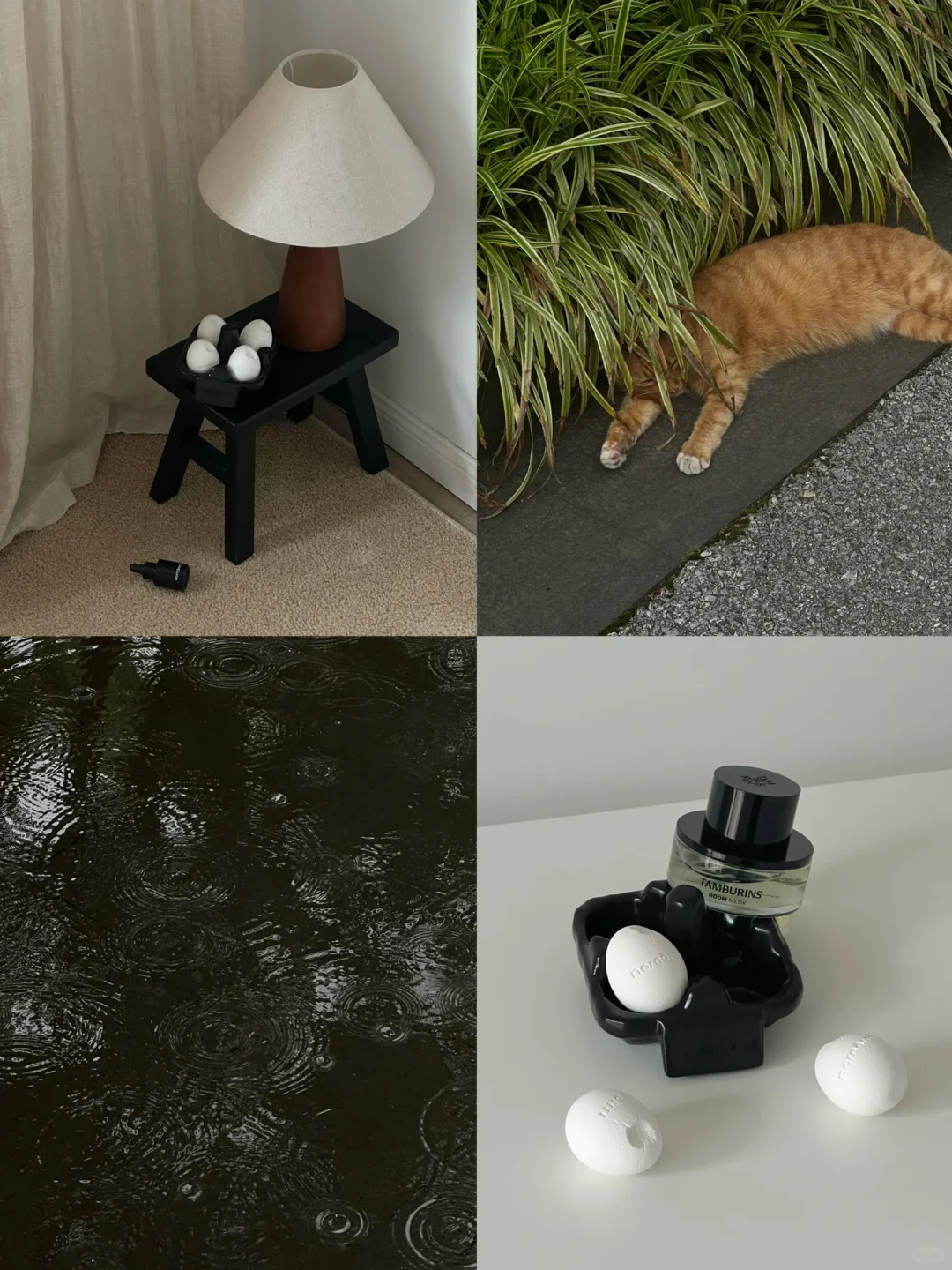 “我和猫 都困了”💤🐈