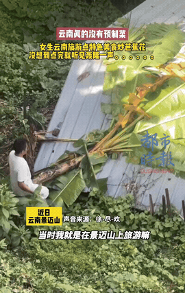 云南，一女子和朋友到景迈山游玩，途中肚子饥饿，随机走进了当地一家普通小餐馆，随手