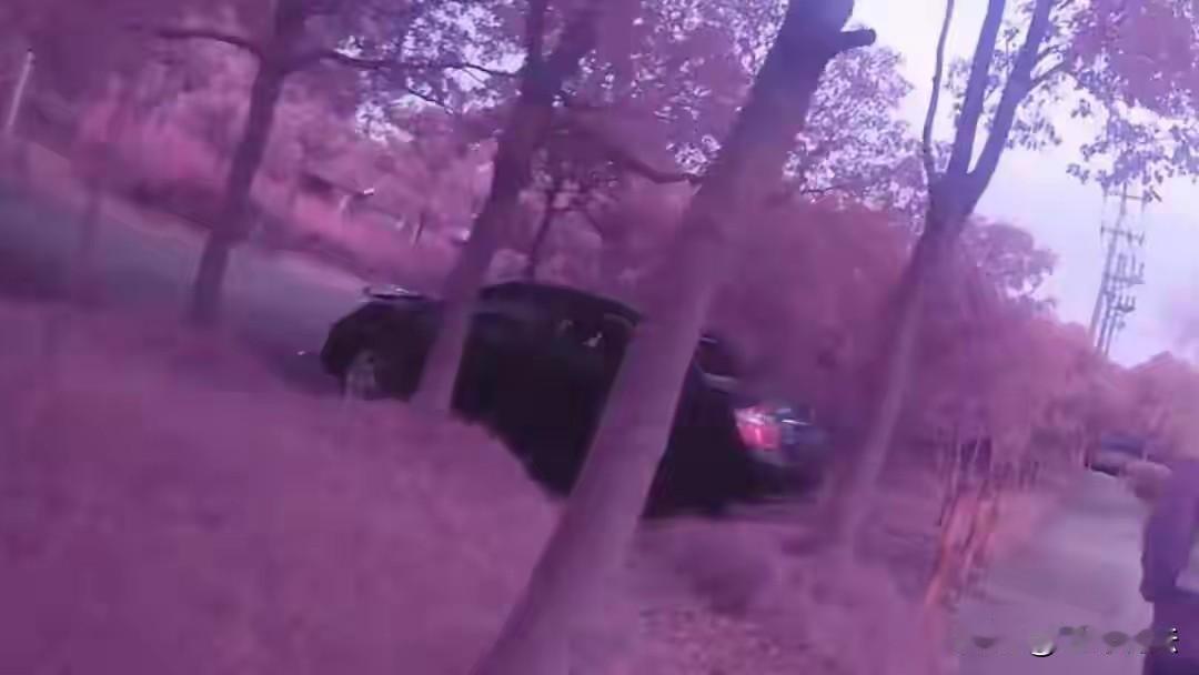 “占小便宜吃大亏！”上海，一车主为省停车费，把车停到一处无人看管的草坪，谁知被一