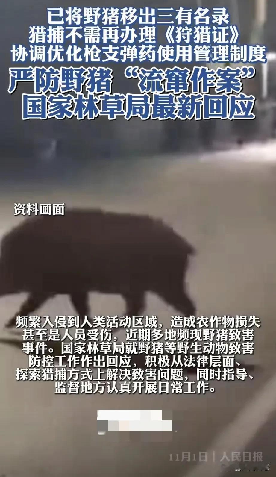 野猪已经不是国家二级保护动物了
已经被移出了三有名录。野猪以前是国家二级保护动物