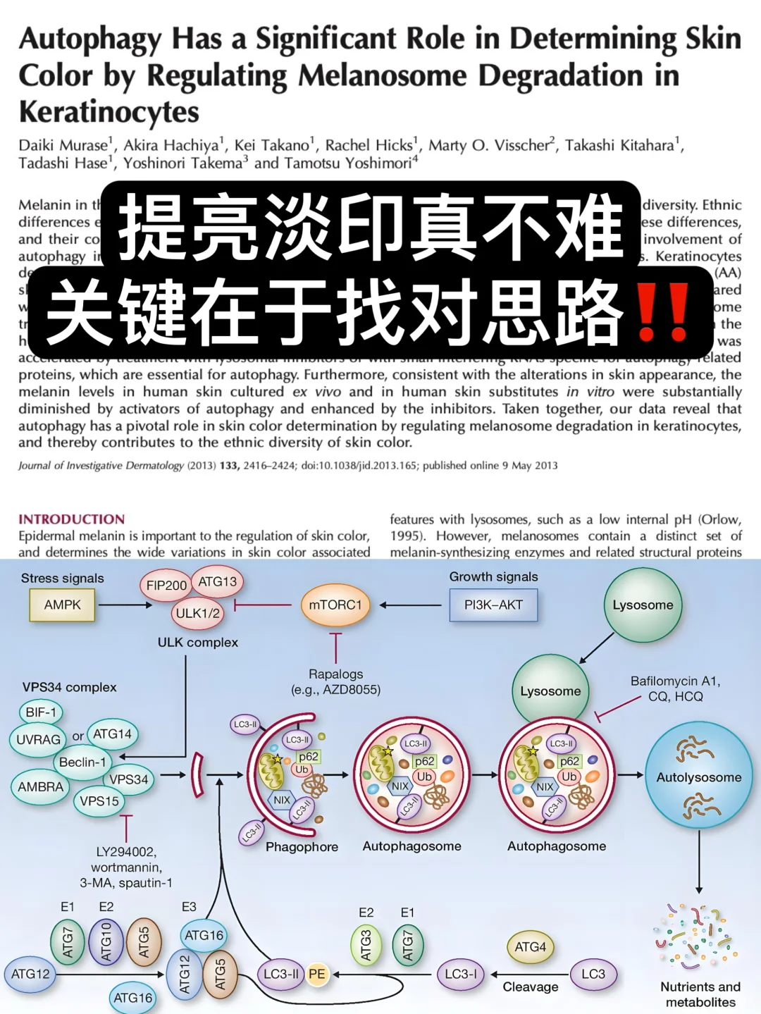 细胞级提亮淡印思路，油痘直接赢在大气层！