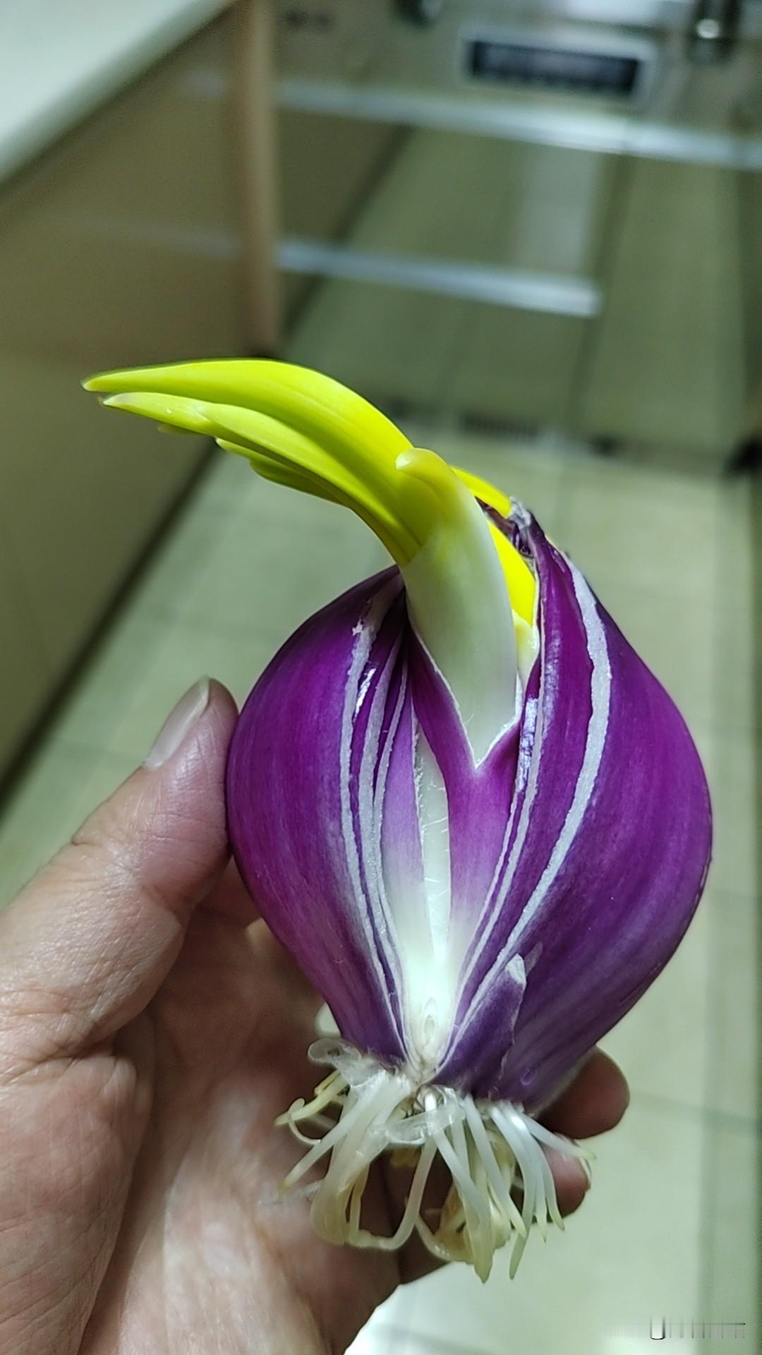 我认为不值得