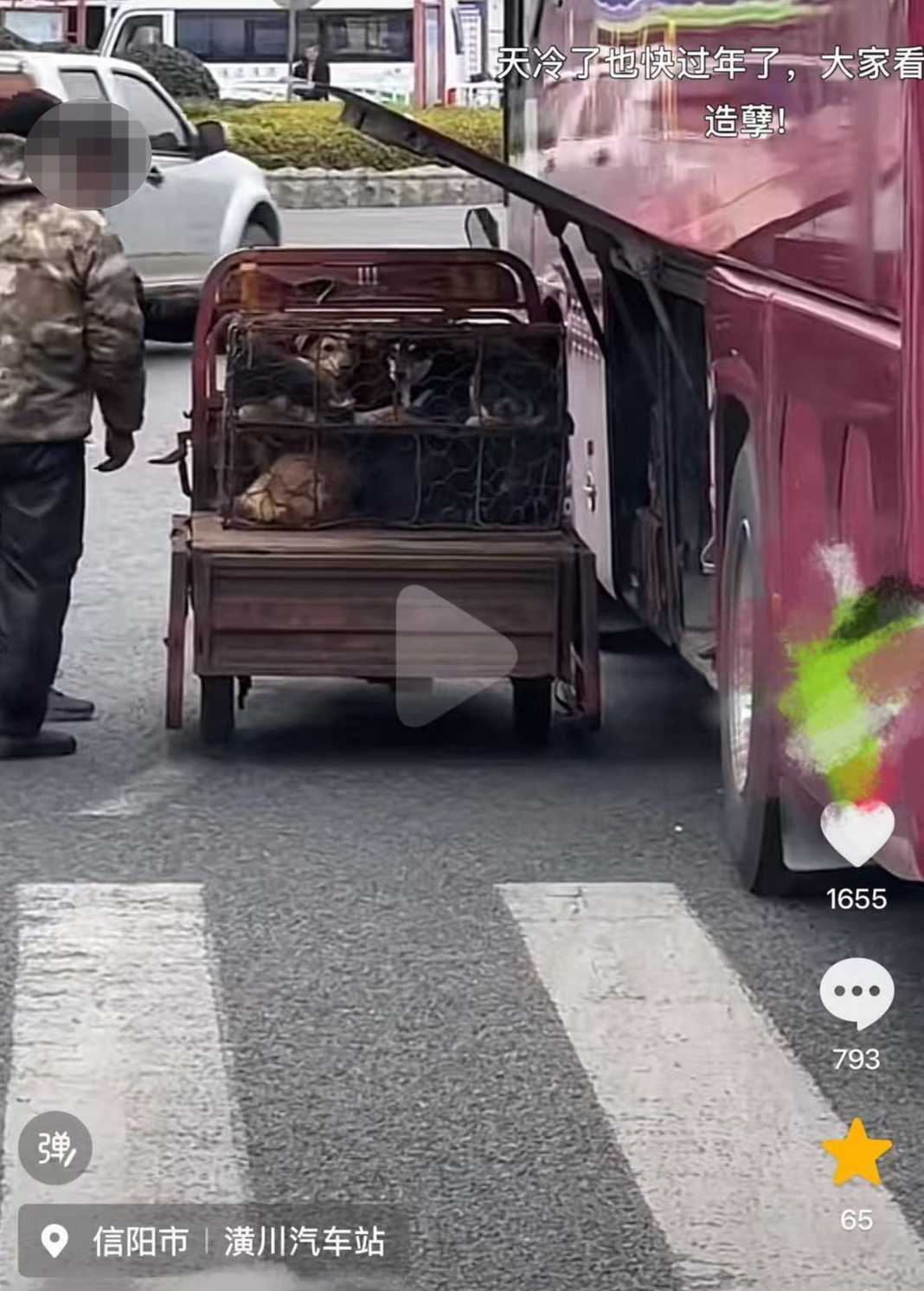 网友称一汽车站外大巴车疑用行李舱运输流浪狗 汽车站:非流浪狗,已对涉事司机做停运处罚