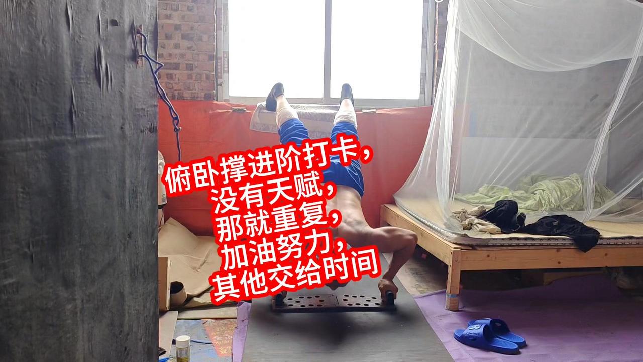 每个人都有自己的节奏，没有天赋就用重复来弥补。每天坚持做俯卧撑，从基础到进阶，每