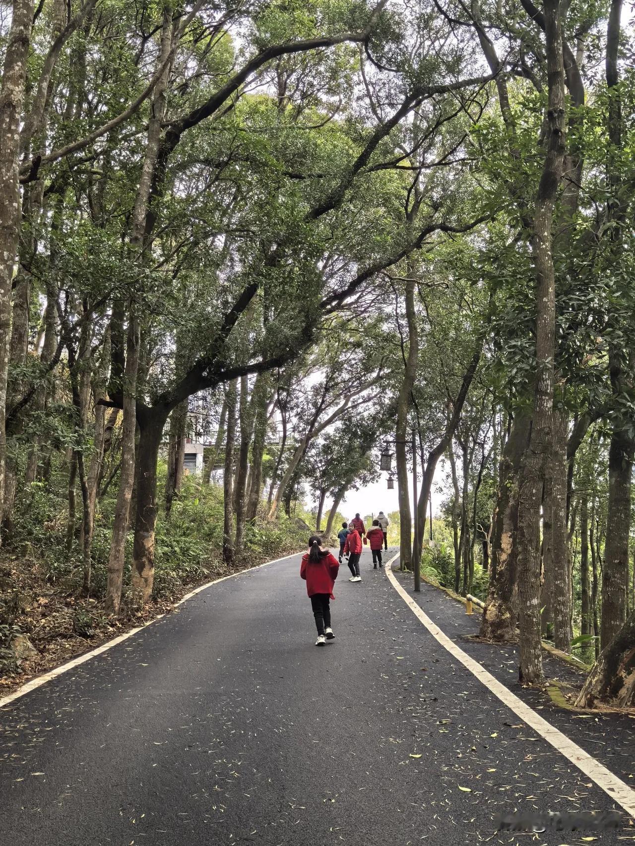 正月初二，相约登天马山，一路直上。未曾想，山腰大路铁门锁。折返，抄小路沿石阶向上