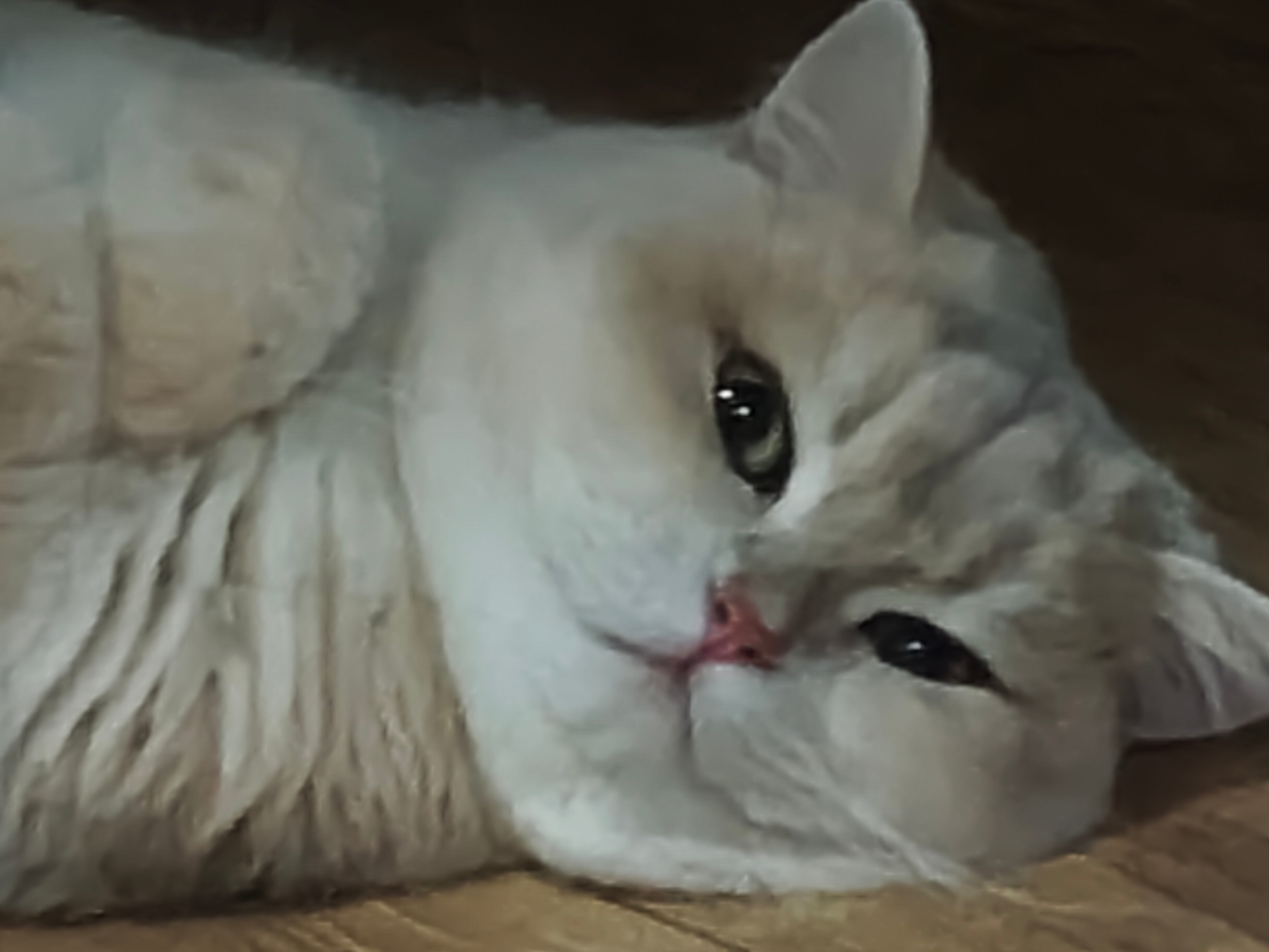 此时此刻，是不是在等着明天上班了？ ​​​