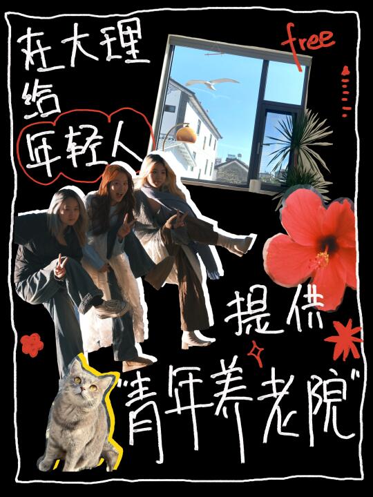 在大理和00后一起组团养老是什么体验？🌌
