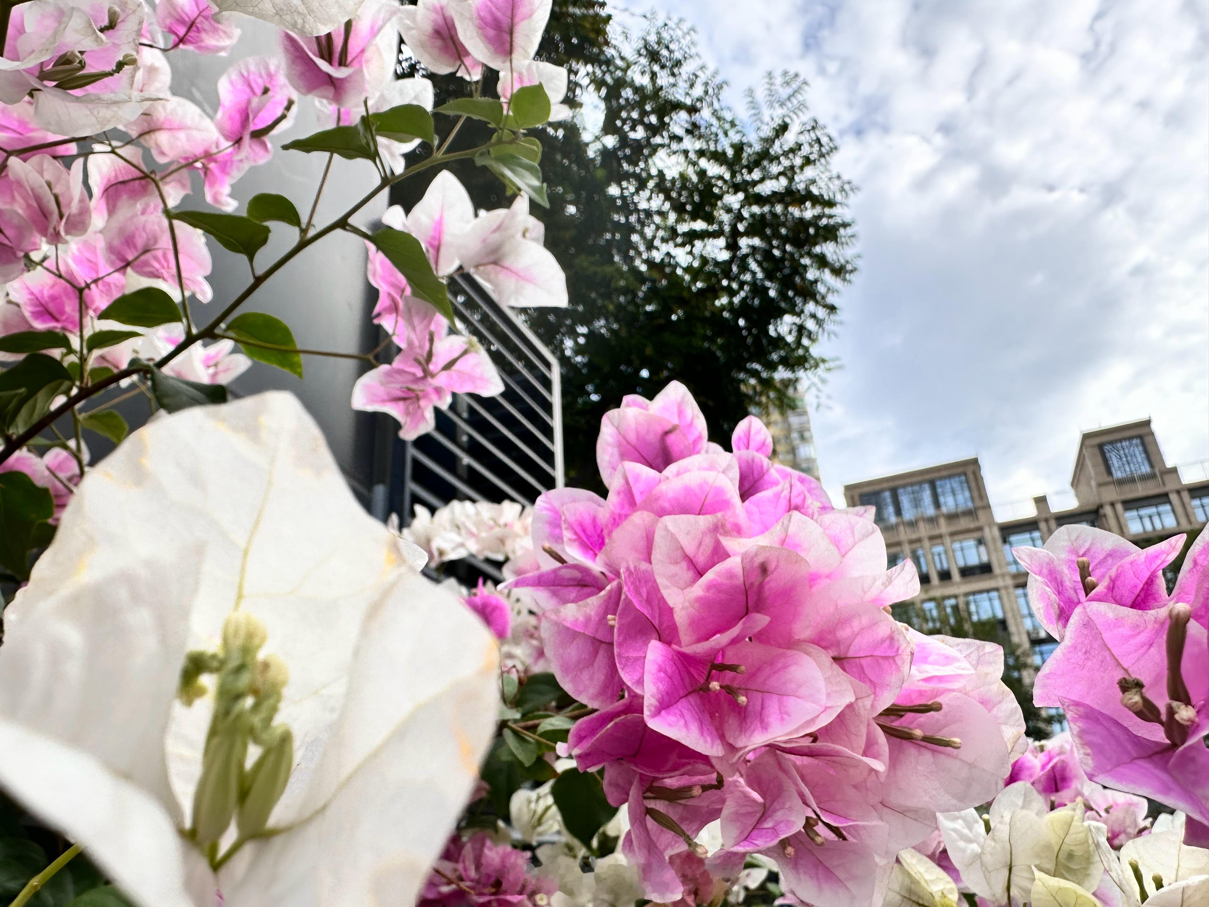 从九月到现在，感觉自己一直特别忙，好像成了一个工作机器和挣钱机器。根本没有空去静