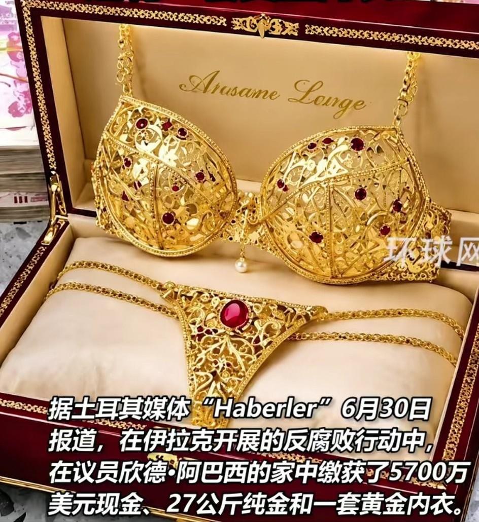 伊拉克开展反腐行动，震惊政府官员！在一名女议员家中查获27公斤黄金，还有一套黄金
