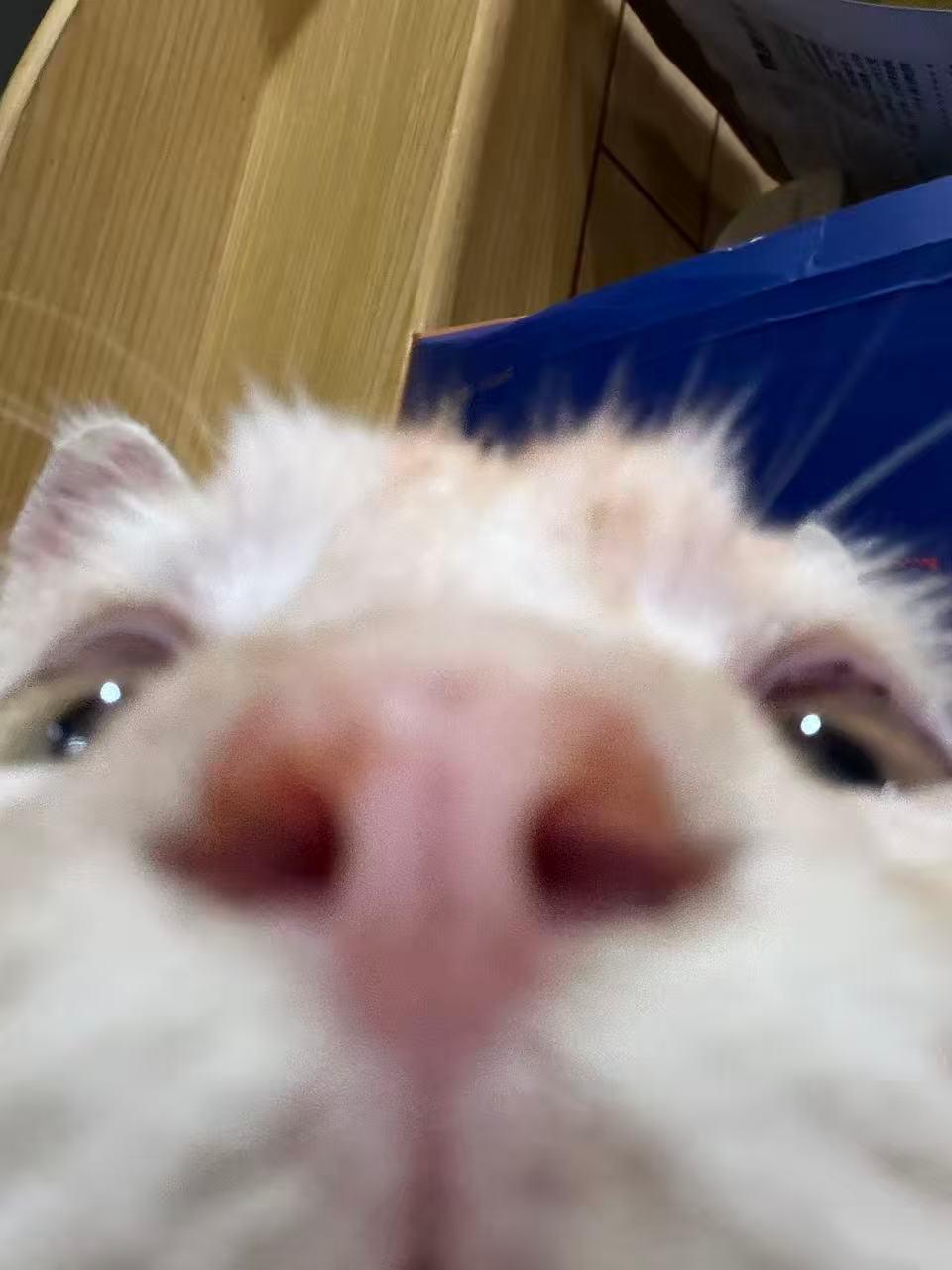 人 你好👋🏻