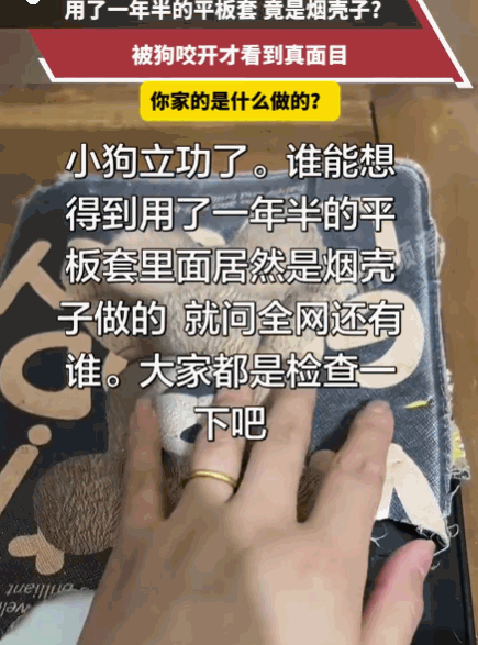 想想都膈应人！浙江，养了1年半的狗子，把狗主人心爱的平板保护套咬得稀巴烂！正当主