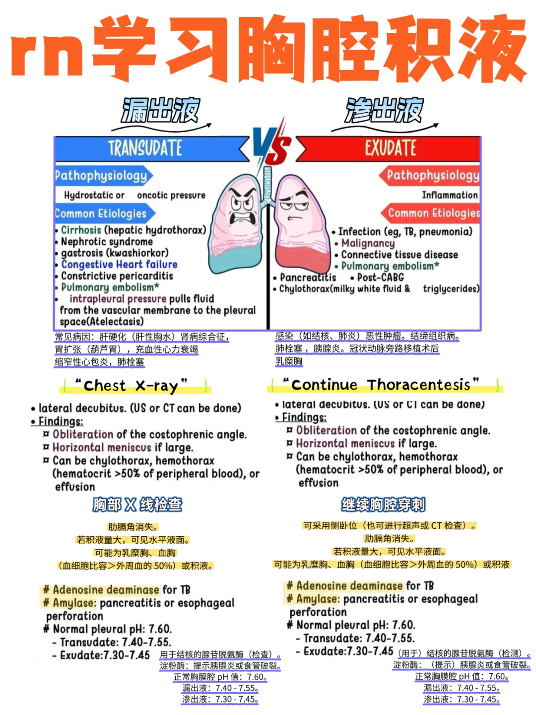 备考RN/胸腔积液！！学！！内容