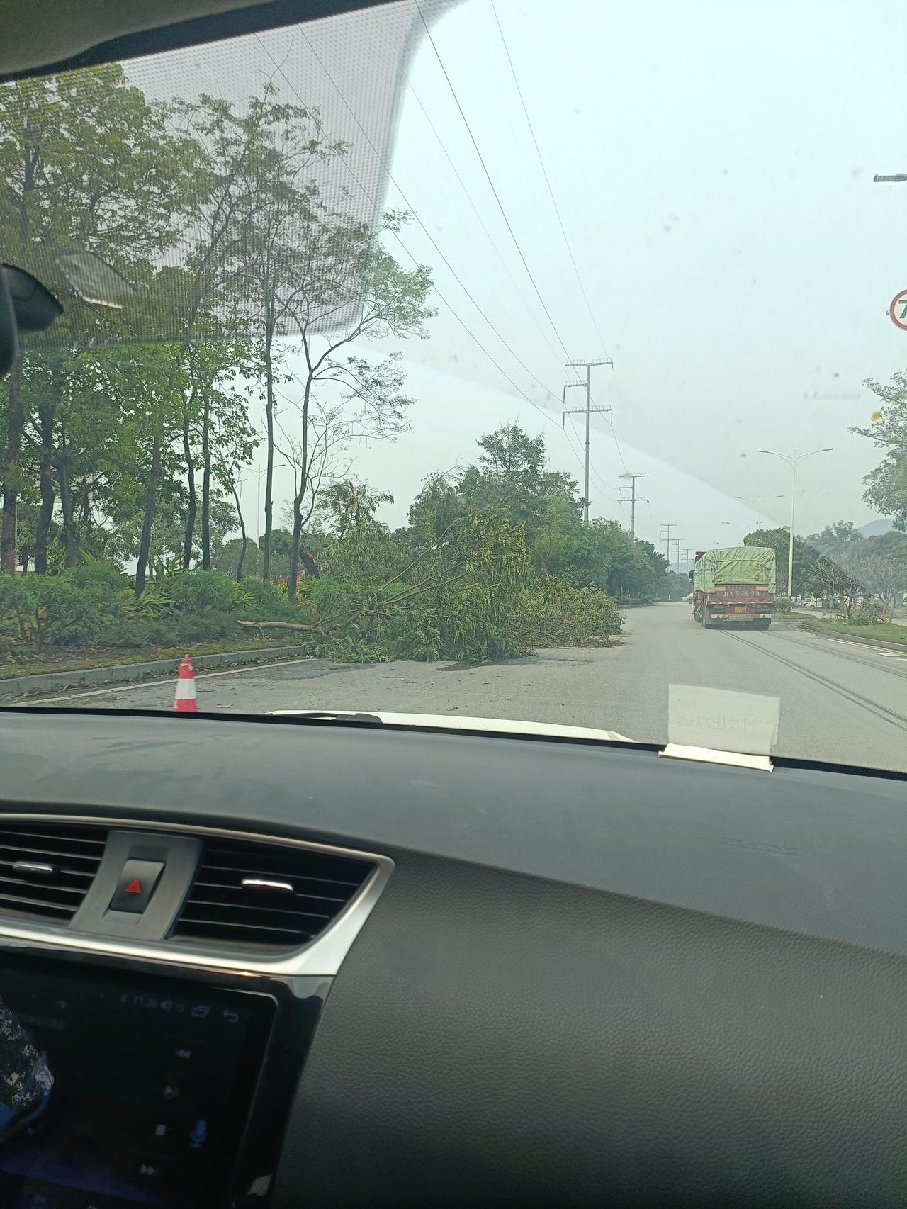 树倒一阵忙
这两天的极端天气好像范围比较广，
刷手机看到，
两广很多地方都是大雨