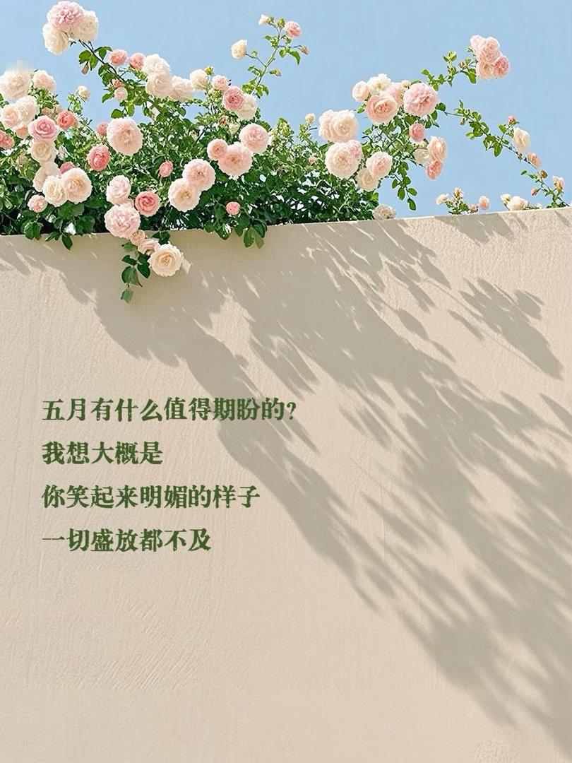 五月让人期待夏天的风景和好久不见的你 