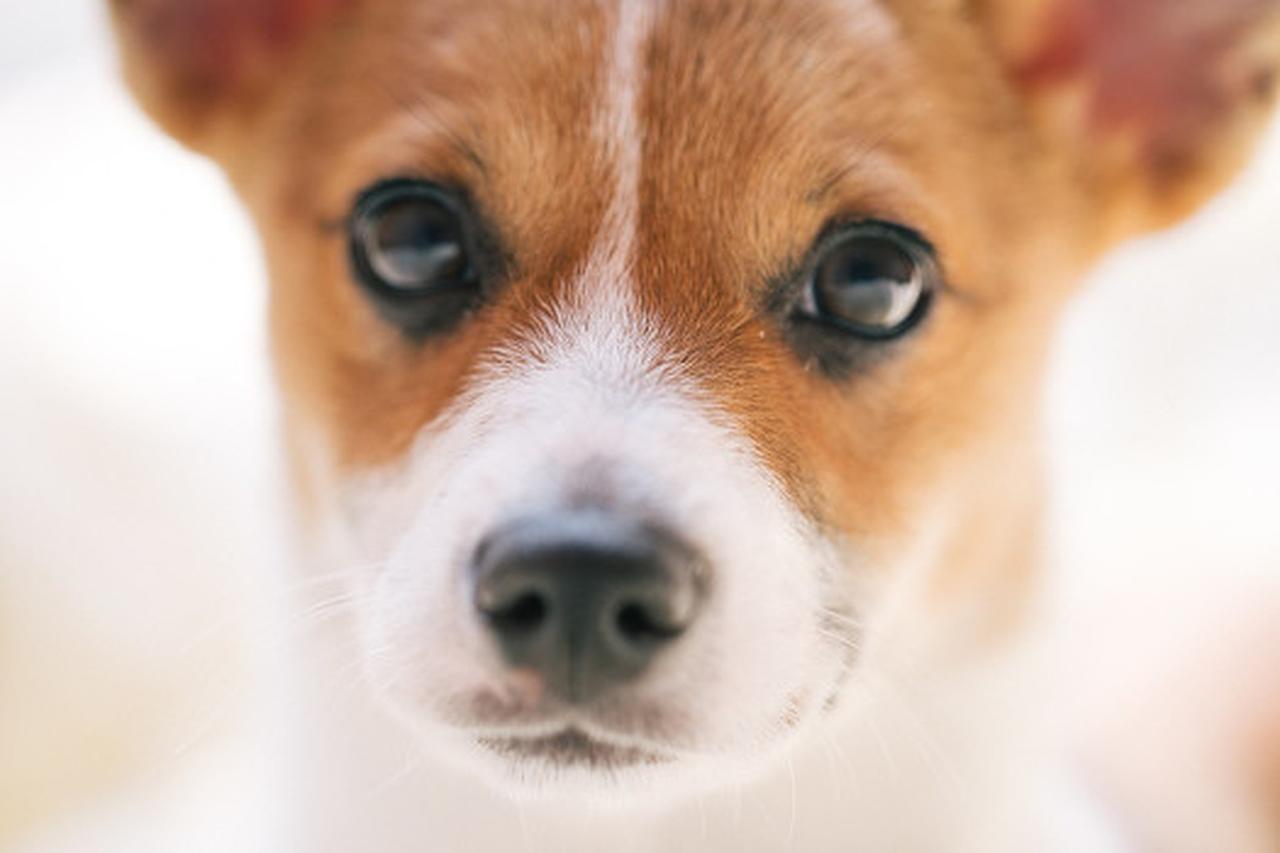 女人长得漂亮和活得漂亮，哪个更重要？这就像在问巧克力和冰淇淋哪个更好吃，各有各的