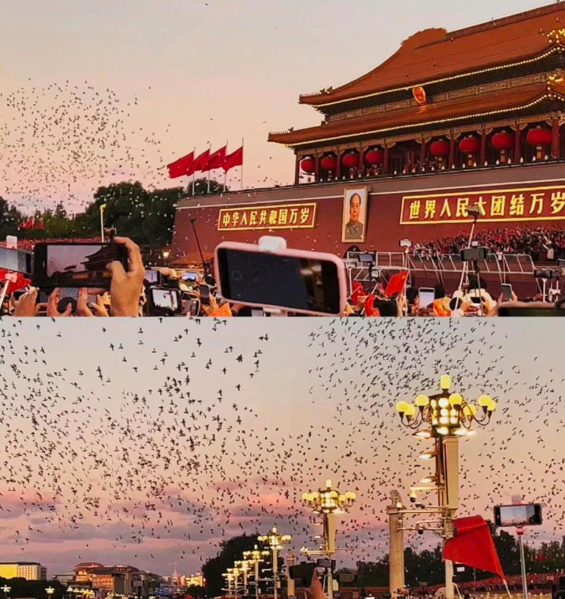 致往昔、敬未来，愿万里山河永昌，祖国繁荣富强！祝福祖国永昌盛 祖国的繁荣盛世