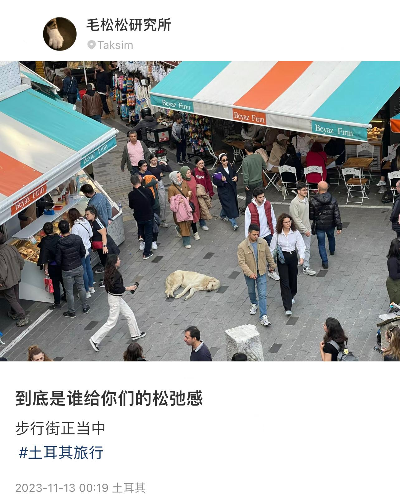在步行街正中心放松睡着的狗狗它好幸福哦[抱一抱] ​​​