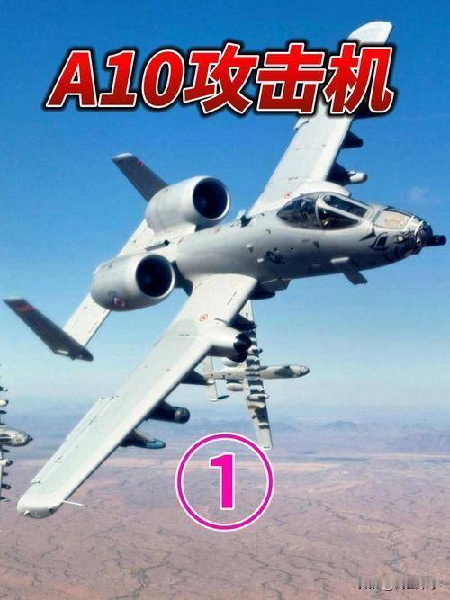 A-10攻击机（绰号：疣猪/舔地战机）
 
一、核心基本参数
 
- 尺寸：机长