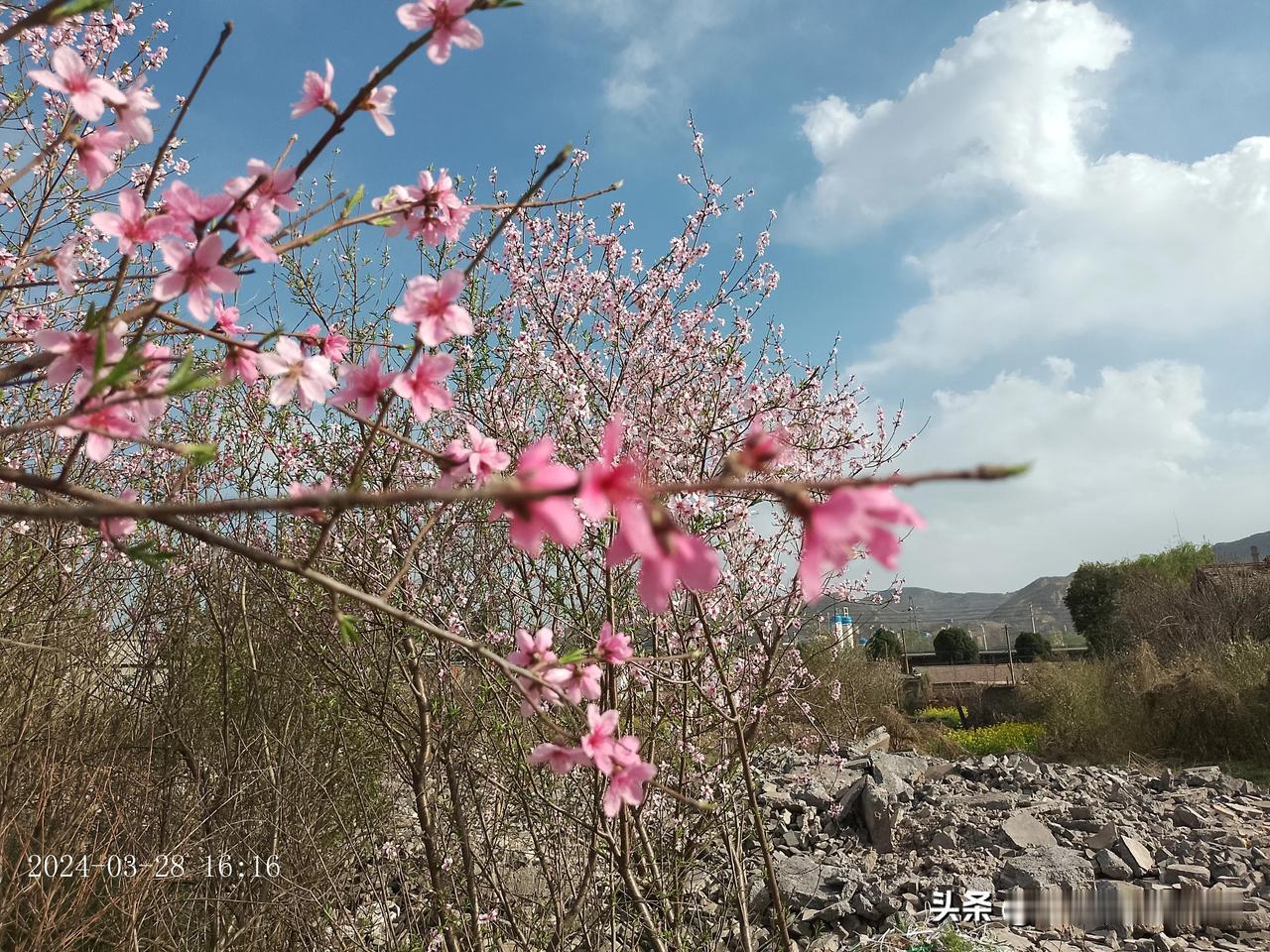 在历史的长河里，有无数革命先辈们洒热血前赴后继，为建设新中国而无私奉献。
   