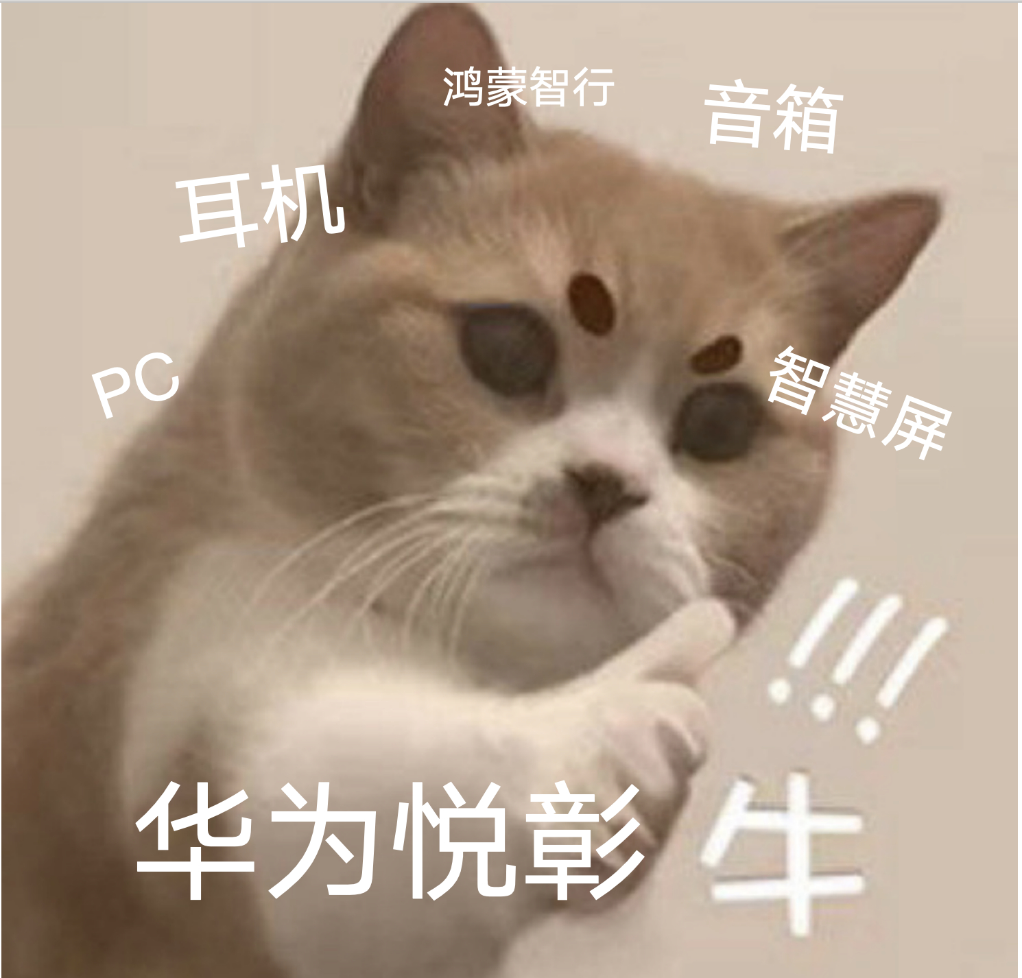 华为推出悦彰声学品牌   20万级智界新S7真香 作为车主，个人已经开了智界S7