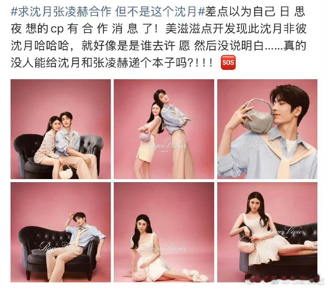 就欺负老实人吧，沈月一天不争不抢的，被挂了一天，这都能带上沈月[疑问]沈月发问号