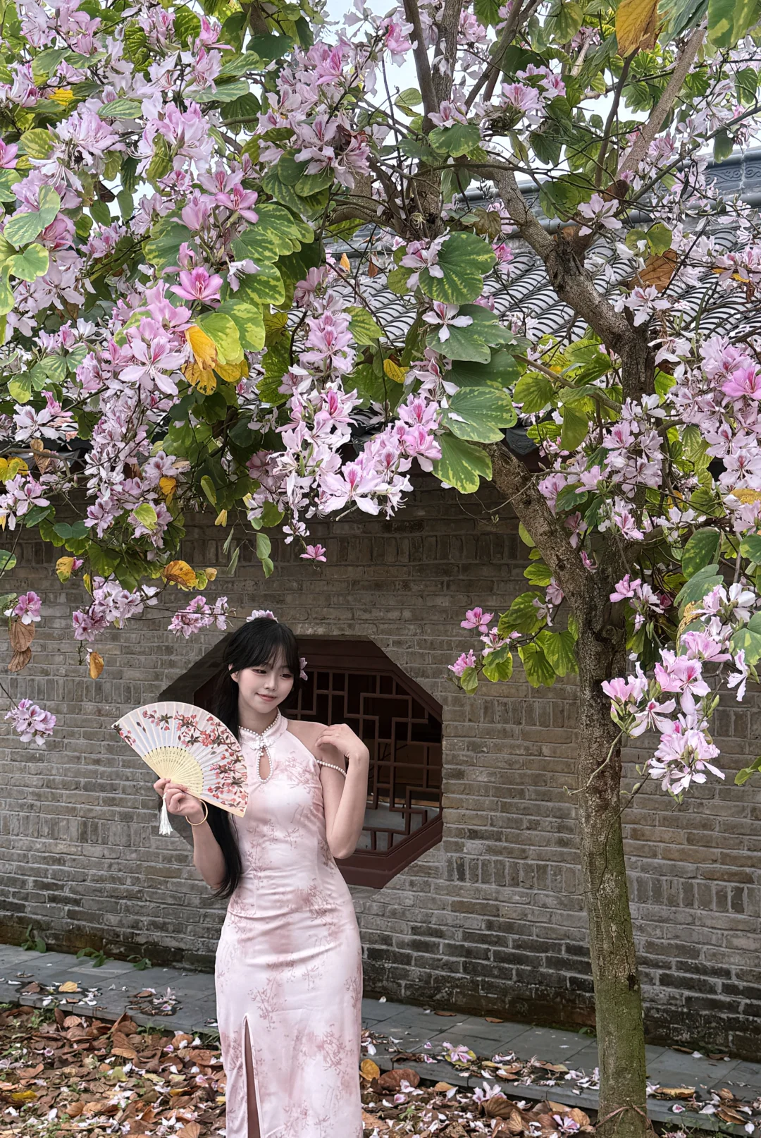 定南古城这个机位好好拍📷