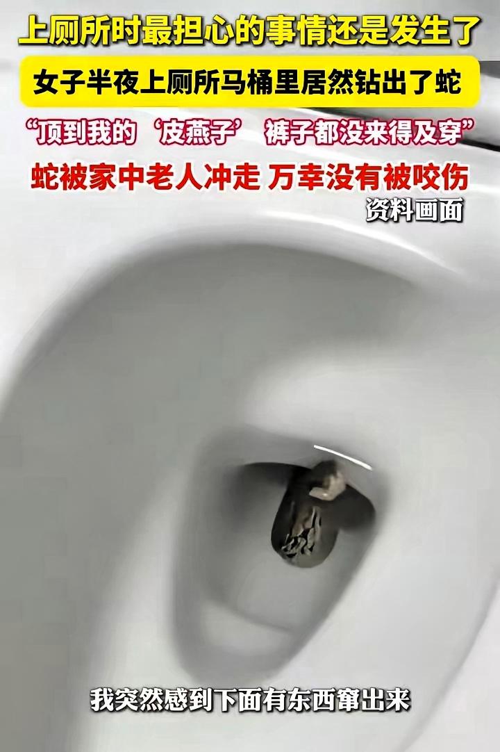 上厕所被蛇“偷袭”？江苏周女士这段经历真能让人后背发凉！她正上厕所时，突然感觉私