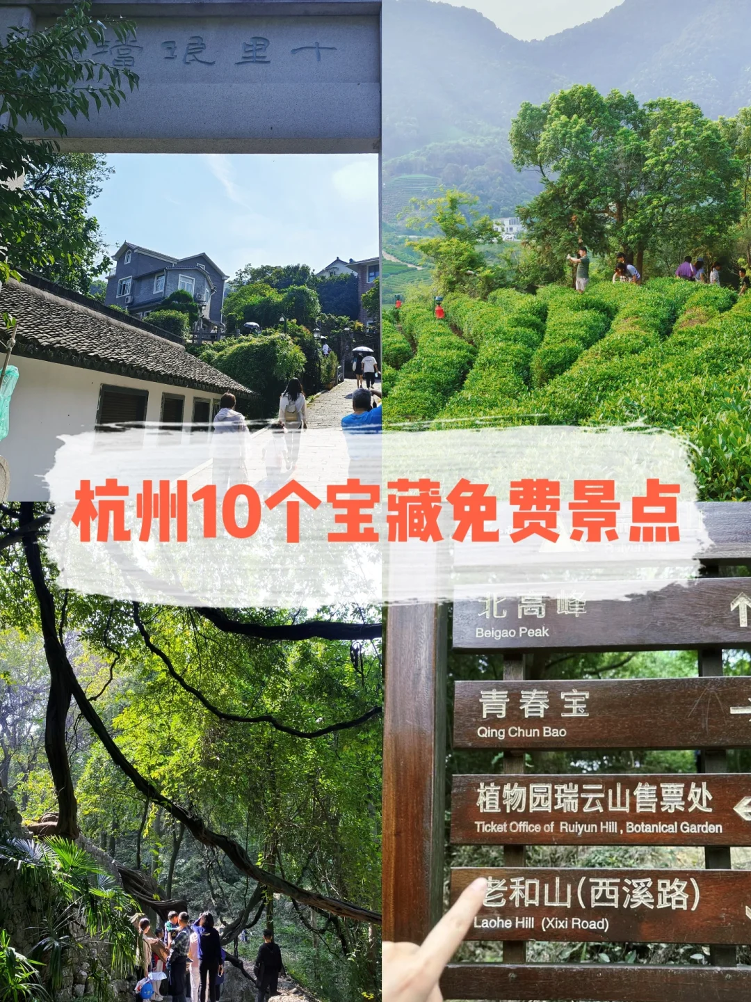 吐血整理😭杭州夏天最值得玩的10个免费景点