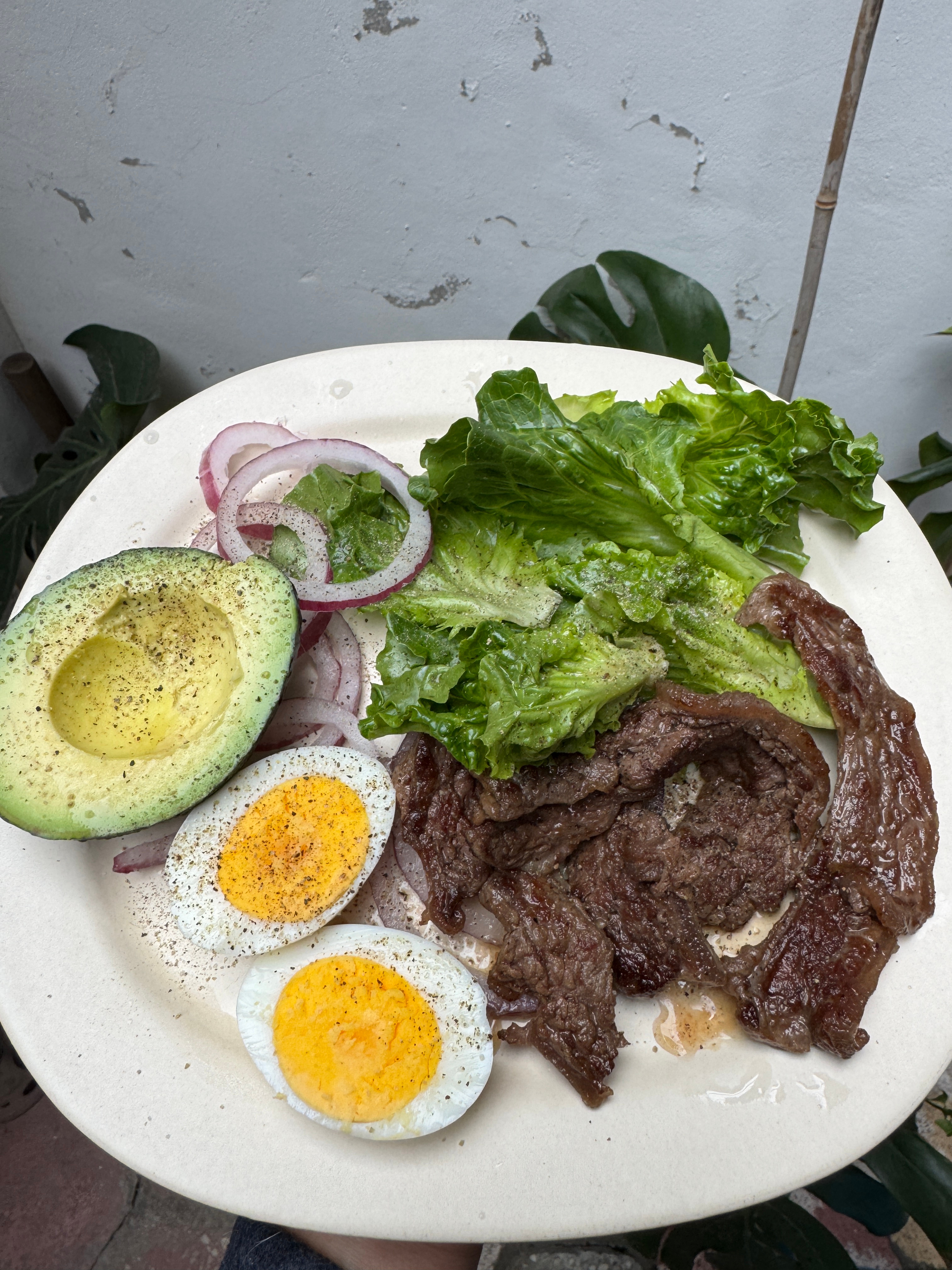 一日生活记录  意大利面粉做的恰巴塔还真的挺好吃的。风味和断口性似乎处在法粉和日