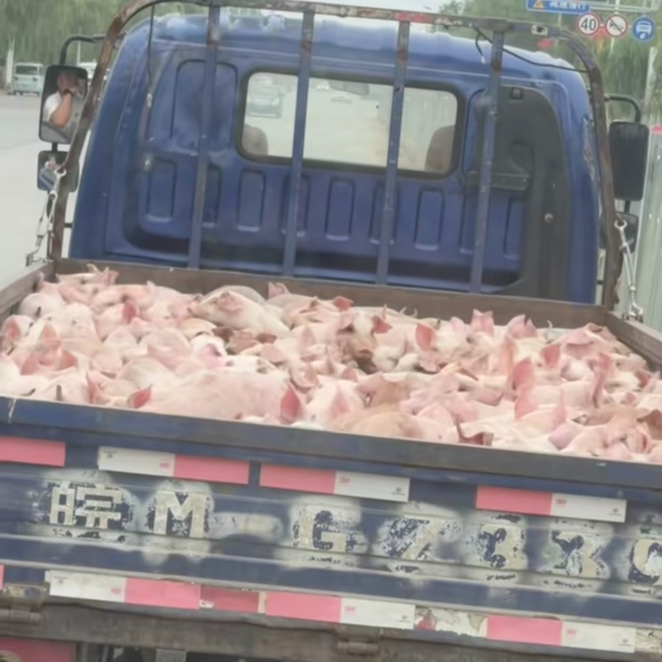 朋友们你们怎么在这里？ 