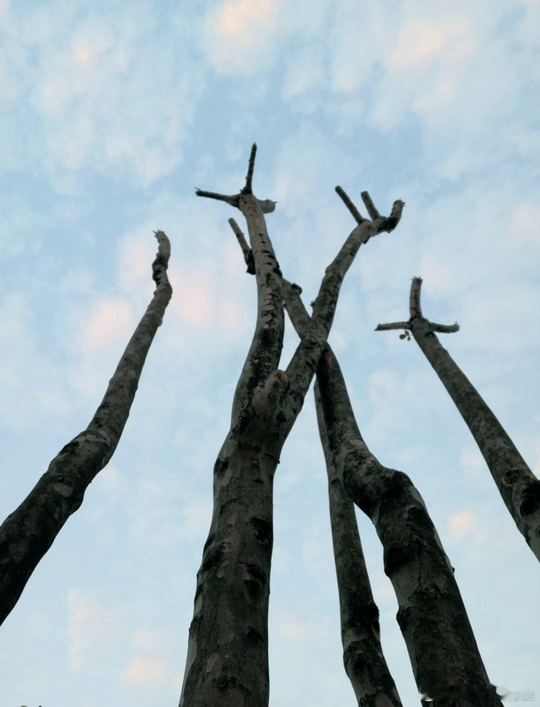 生活手记很多年没排队了，下午排长龙，前面32人，现在还有11人