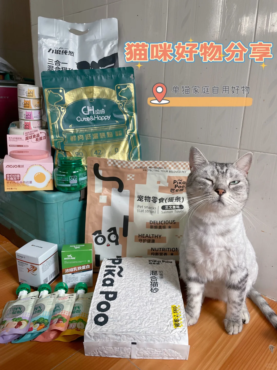 猫咪好物分享