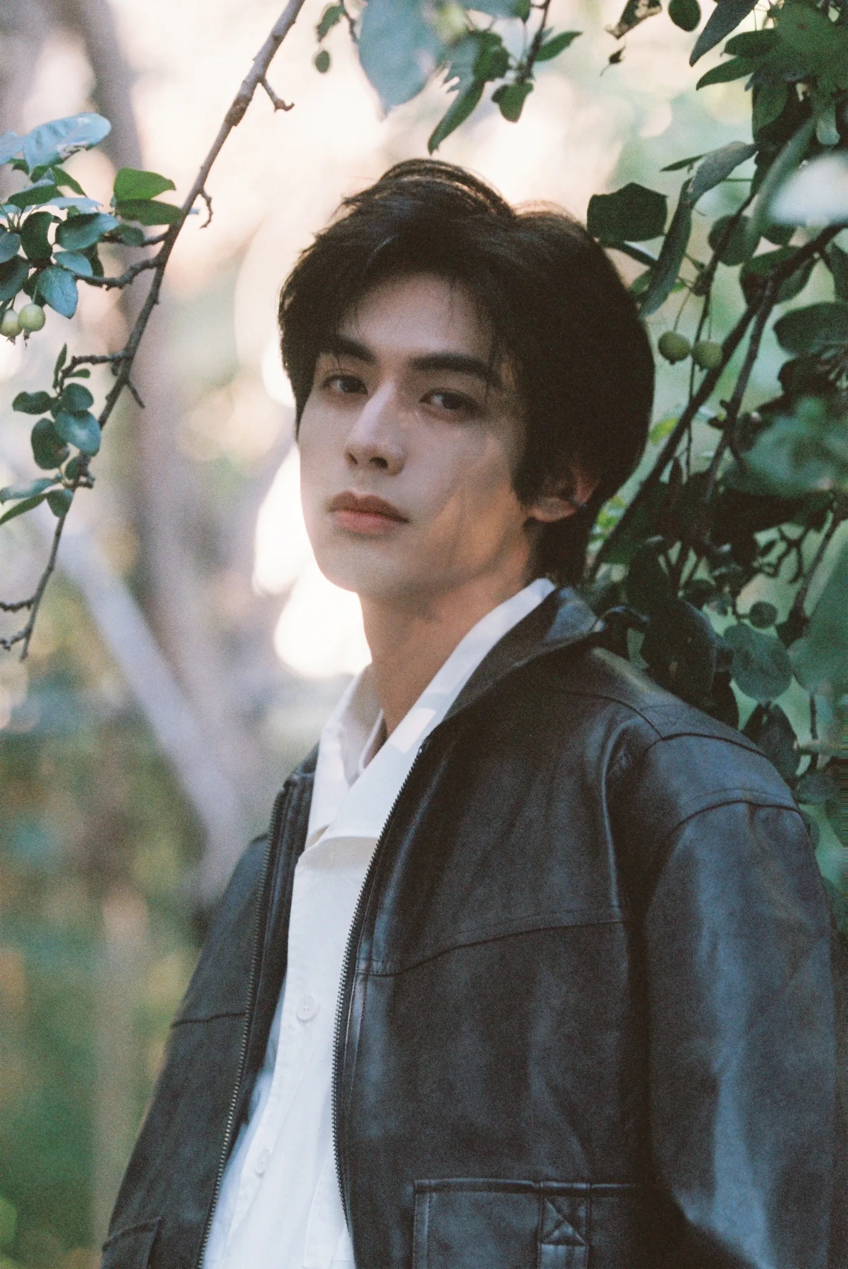 宋威龙胶片🎞️ 