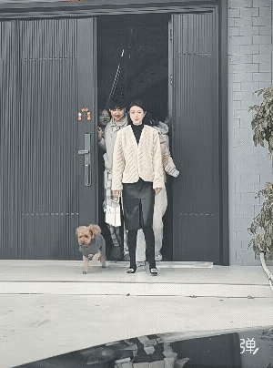 小姐姐谈个恋爱，
全家人都同意了，
只要没有大问题，
基本问题不大。