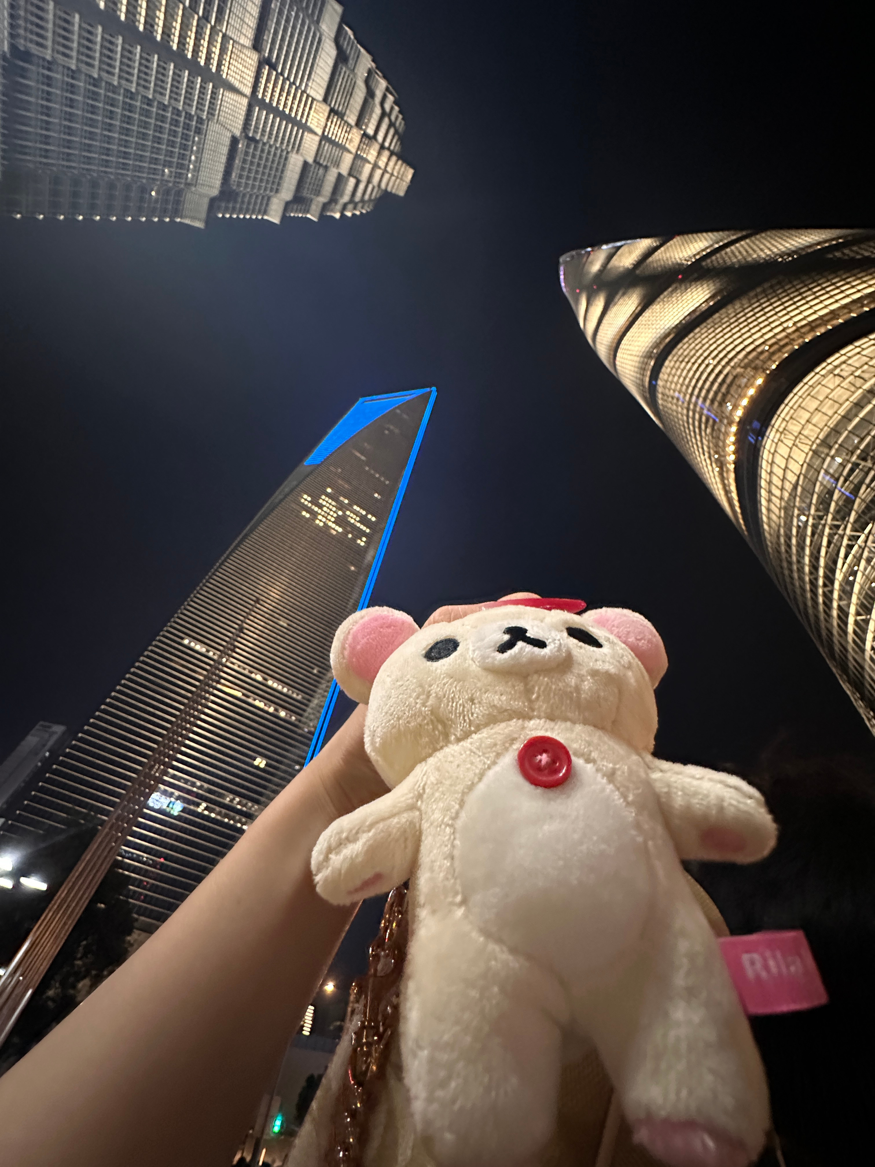 又来上海玩啦 ​​​