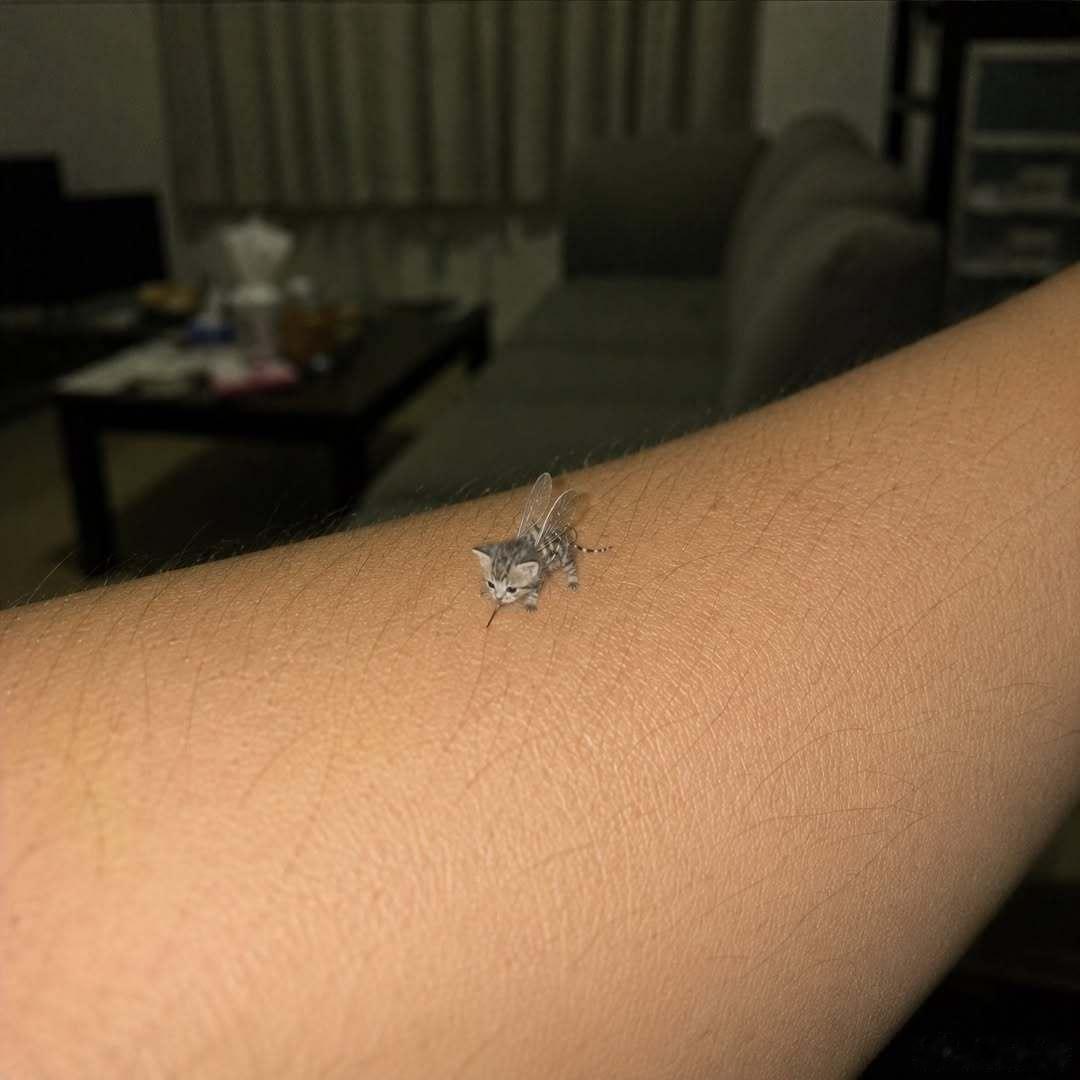 抓不到嘿嘿迷惑图
