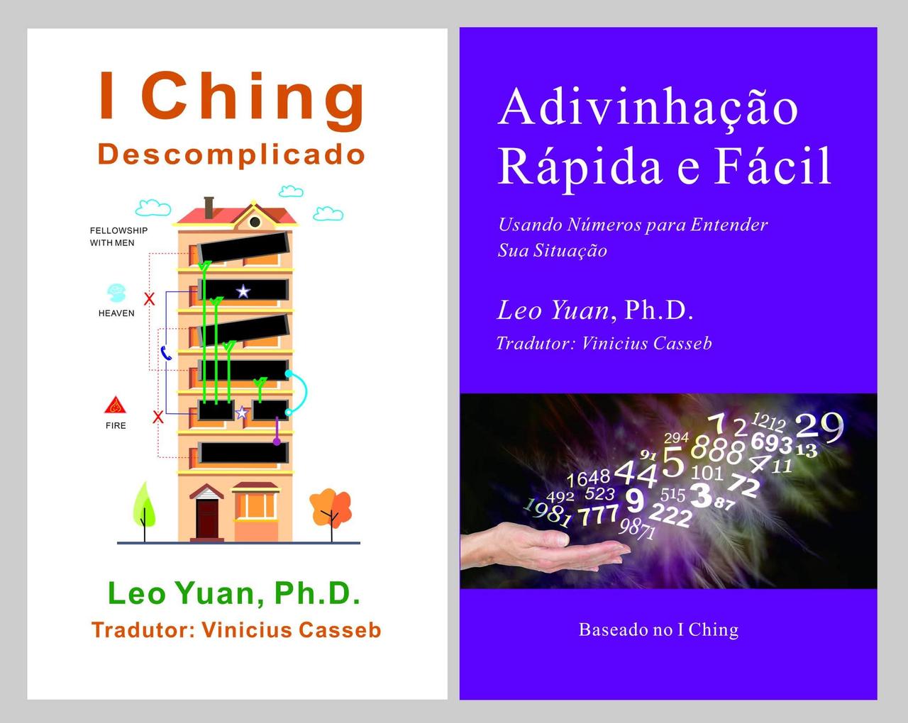 两本葡萄牙文版易经在国际网络书店出版了，一位热心的葡萄牙文译者协助，不简单，我大